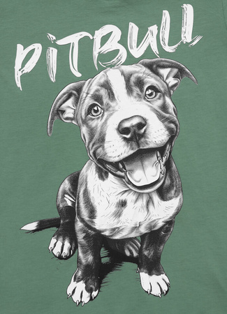 T-shirt damski PIT BULL PUPPY 2 WMN miętowy