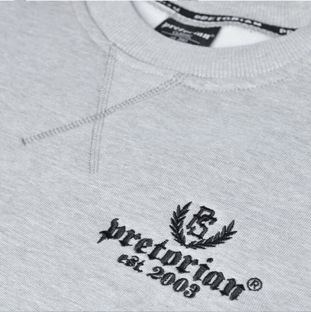 Bluza PRETORIAN EST.2003 prosta szara