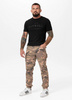 Spodnie joggery bojówki PIT BULL SCOTT camo
