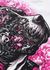 T-shirt damski PIT BULL TATTOO WMN biały