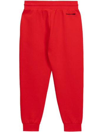 Spodnie sportowe PIT BULL DOGWOOD czerwone (fluo red)