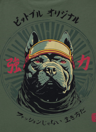 T-shirt PIT BULL MT.FUJI sage green