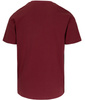 T-shirt PIT BULL LOGO PALMS bordowy (burgundy)