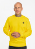 Bluza PIT BULL SMALL LOGO 21 żółta prosta