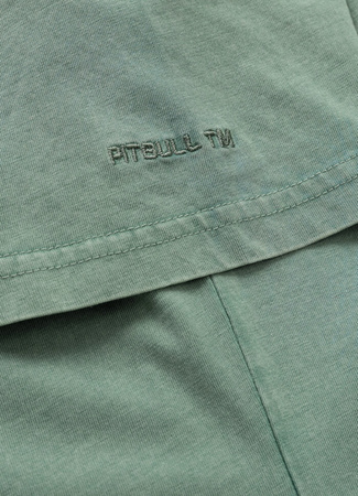 T-shirt damski PIT BULL Denim Washed ANGEL LOGO green