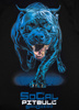 T-shirt damski PIT BULL  IN BLUE WMN czarny