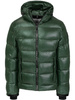Kurtka PIT BULL PEPPERWOOD zielona (bottle green)