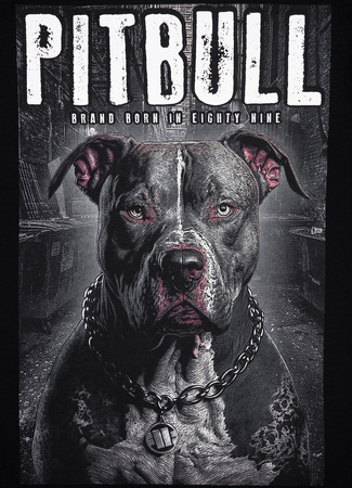 T-shirt damski PIT BULL STREET KING WMN czarny