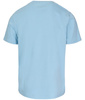 T-shirt PIT BULL PALMS błękitny (light blue)