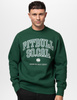 Bluza PIT BULL SO CAL hunter green prosta