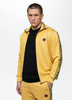 Bluza PIT BULL OLDSCHOOL TAPE LOGO TERRY pale yellow stójka