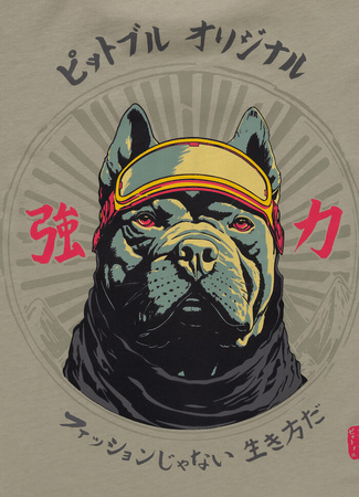 T-shirt PIT BULL MT.FUJI grey harbour
