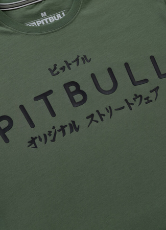 T-shirt PIT BULL MT.FUJI sage green