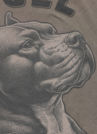 T-shirt PIT BULL Denim Washed RAW EDGE PACIFIC taupe