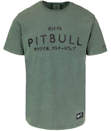 T-shirt PIT BULL Denim Washed MT.FUJI sage green