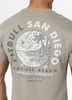 T-shirt PIT BULL  PLANET SURF grey harbour