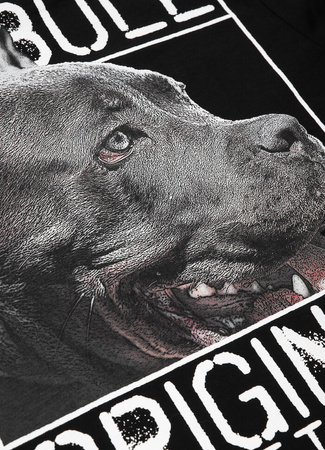 T-shirt PIT BULL ORIGIN czarny