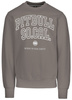 Bluza PIT BULL SO CAL taupe prosta