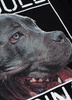 Bluza PIT BULL ORIGIN czarna kaptur