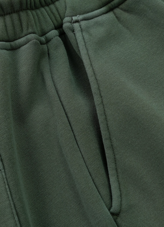 Spodenki PIT BUL LANCASTER 2 sage green