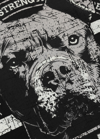 T-shirt PIT BULL TROUBLEMAKER czarny