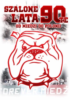 Książka SZALONE LATA 90-te: Część 4. Od Miedzi do Polonii