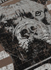 T-shirt PIT BULL TROUBLEMAKER dark brown