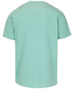 T-shirt PIT BULL TAPE NUGGET miętowy (light mint)