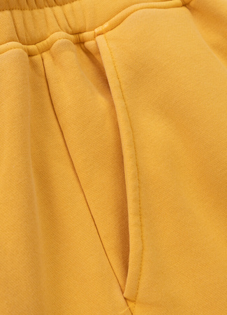 Spodnie sportowe PIT BULL WASHED LANCASTER 2 washed yellow