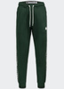 Spodnie dresowe PIT BULL OLDSCHOOL TAPE LOGO TERRY bottle green
