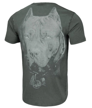T-shirt PIT BULL Denim Washed BORN IN 1989 grafitowy