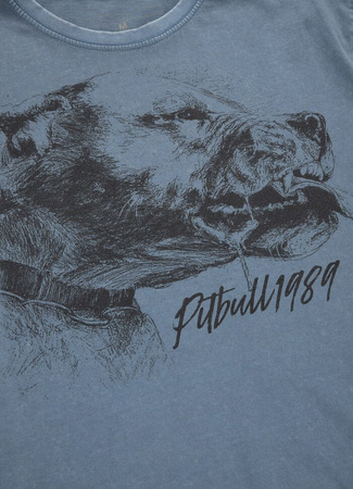 T-shirt PIT BULL Denim Washed SHLIMOCK 190 błękitny