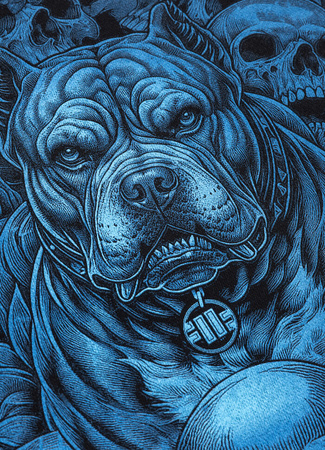 Bluza PIT BULL GUARDIAN ANGIEL czarna prosta