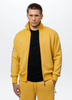 Bluza PIT BULL OLDSCHOOL POWERS żółta (pale yellow) stójka