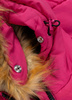 Damska kurtka PIT BULL AZALEA WMN beżowa (dark sand)