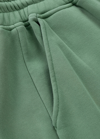 Spodnie sportowe PIT BULL WASHED LANCASTER 2 washed green