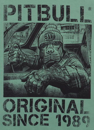 T-shirt PIT BULL DRIVE 170 (mint) miętowy