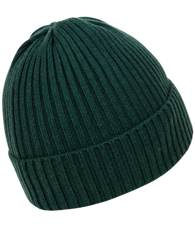 Czapka zimowa PIT BULL VELCRO LOGO zielona (green)
