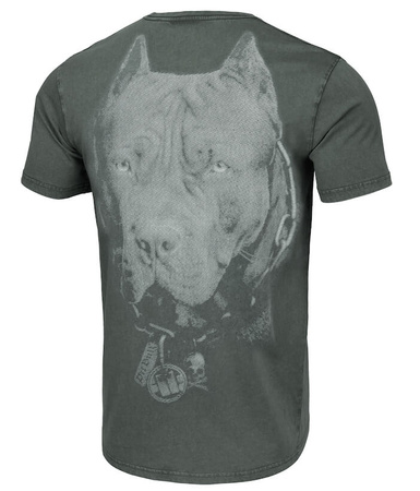 T-shirt PIT BULL Denim Washed  BORN IN 1989 grafitowy