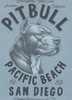 T-shirt PIT BULL Denim Washed RAW EDGE PACIFIC blue