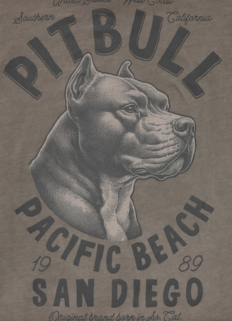 T-shirt PIT BULL Denim Washed RAW EDGE PACIFIC taupe