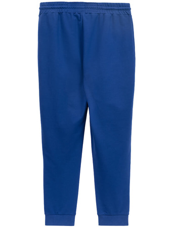 Spodnie sportowe PIT BULL Tricot Terry TAPE NUGGET niebieskie (electric blue)