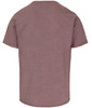 T-shirt PIT BULL T-shirt PIT BULL Denim Washed RAW EDGE SKULL LOGO dusty burgundy