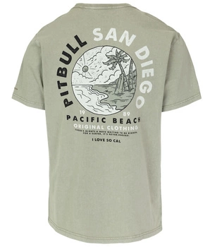 T-shirt PIT BULL Denim Washed PLANET SURF dusty salvia