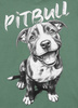 T-shirt damski PIT BULL PUPPY 2 WMN mint