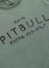 T-shirt PIT BULL Denim Washed MT.FUJI sage green