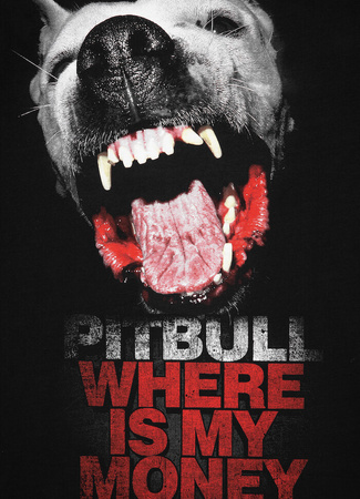 T-shirt PIT BULL WHERE IS MY MONEY czarny