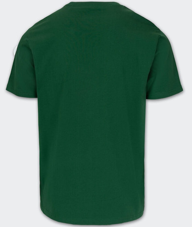 T-shirt PIT BULL SCRATCH zielony (leaf green)