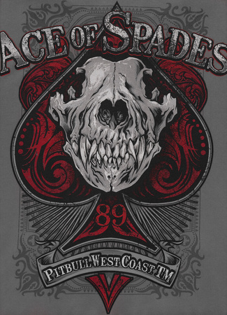Bluza PIT BULL WASHED ACE OF SPADES washed grey rozpinana