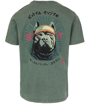 T-shirt PIT BULL Denim Washed MT.FUJI sage green